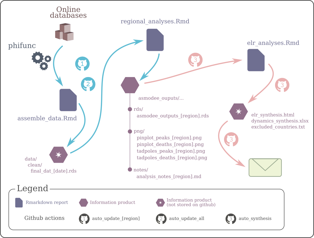 Overview of the infrastructure. This diagram represents the flow of information processed by the data pipelines. Data are gathered from the net by the WHO-private package *phifunc*, and processed by a series of *Rmd* reports. Some of the information products generated, indicated by a star, are not stored on github in order to reduce the size of the repository. Upon compilation, all reports outputs are stored in an /outputs/ folder (not shown on the diagram). The automated email (last step) can only be sent by github actions, as it requires SMTP credentials only stored as github secrets.